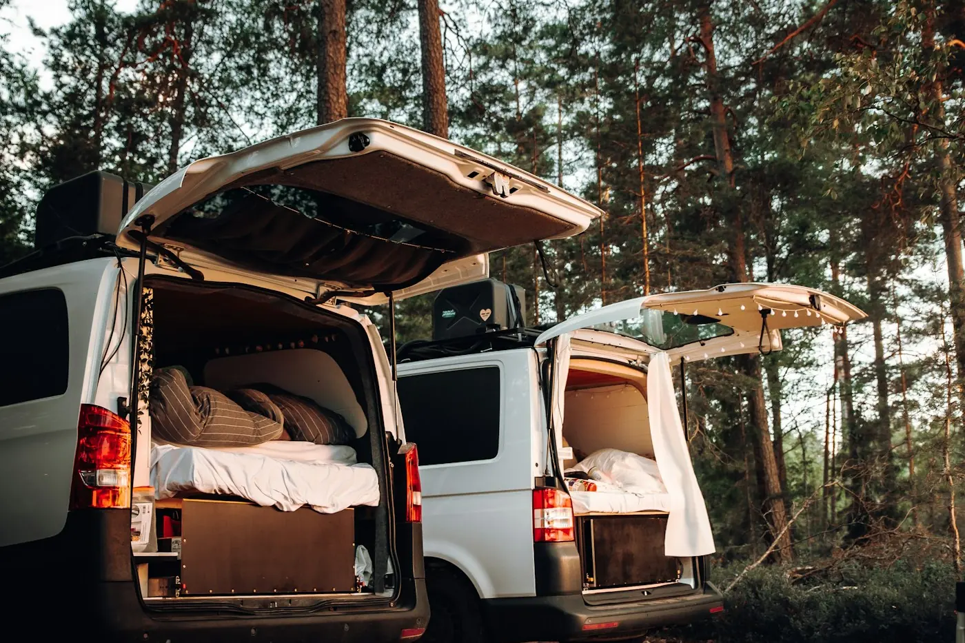 Two white vans with open back doors and beds inside, parked in a pine forest
