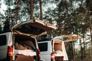 Two vans with beds in the back parked between pine trees