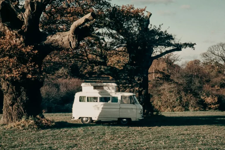 A white camper van parked next to a large tree in a field