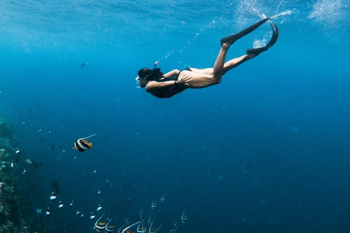 Een vrouw die snorkelt boven een school vissen in blauw water